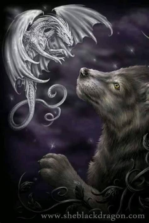 Fantasy Wesen Fantasy Wolf Fantasy Dragon Magical Creatures Fantasy