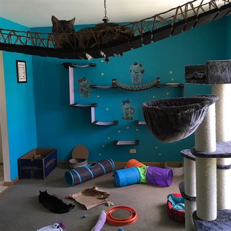 9 Creative Cat Rooms To Inspire Your Inner Designer