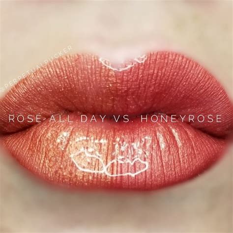 LipSense distributor 228660 perpetualpucker Rosé All Day vs Honeyrose