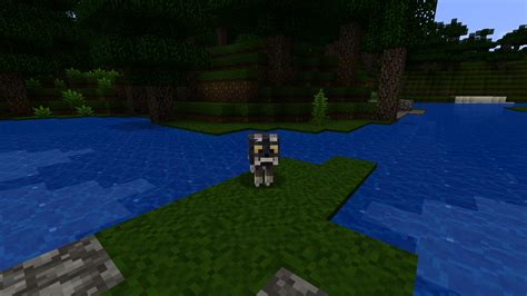 Best Minecraft Texture Packs For Java Edition Pcgamesn