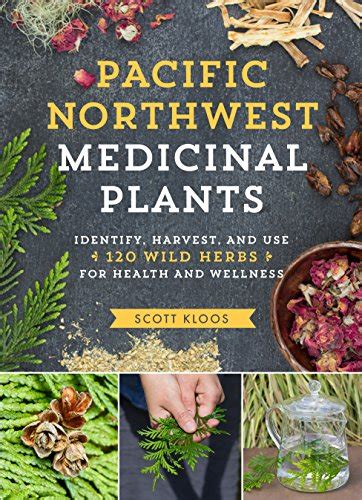 Pacific Northwest Medicinal Plants Identify Harvest And Use 120 Wild
