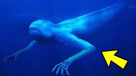 3 Creepy Deep Sea Creatures Real Sea Monsters Weird Creatures Deep