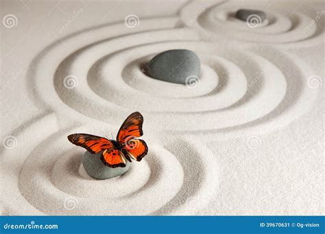 Zen Stones With Butterfly Stock Photo Image 39670631