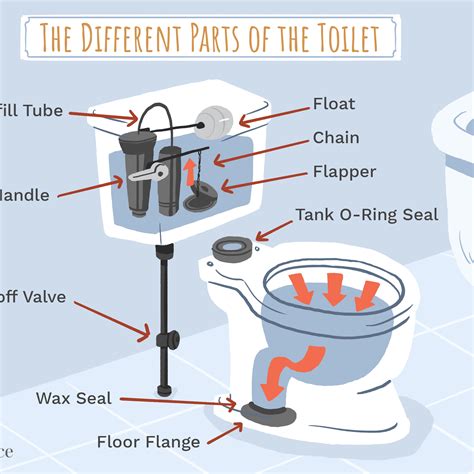 What Are The Parts Of A Toilet