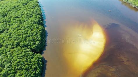 Amazon Rainforest Natural Landscape Amazon River Scene Stock Footage