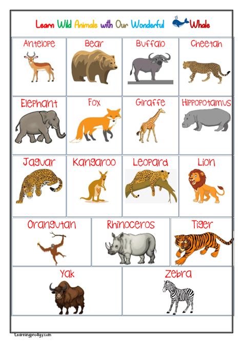 Wild Animals Chart With Pictures For Kids Learningprodigy Charts