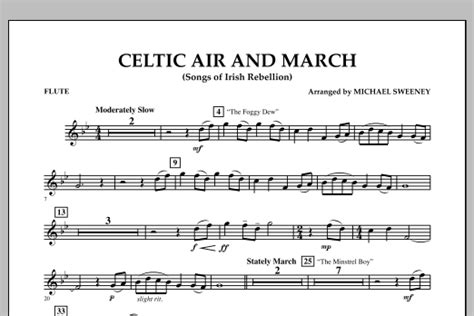 Celtic Air And March Songs Of Irish Rebellion Flute Sheet Music