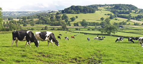 The Co Operative Launches Farming Groups In Support Of British