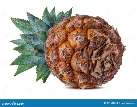 Fresh Pineapple Isolated On White Stock Image Image Of Healthy