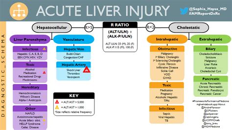 Causes Of Acute Liver Injury Differential Diagnosis Hepatocellular
