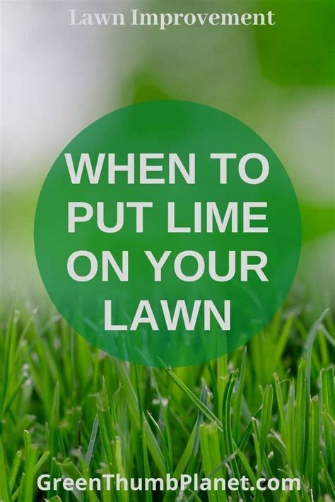 Green Lawn Green Grass Lime For Lawns What Happens If You Shit