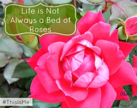 Life Is Not Always A Bed Of Roses