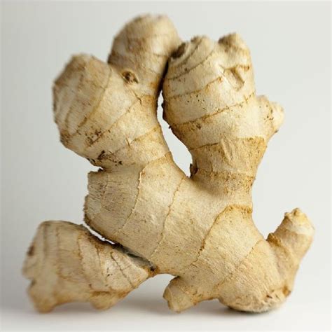 fresh ginger buy fresh ginger for best price at usd 500 ton approx