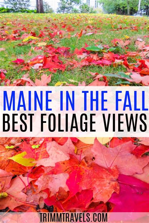 Maine In The Fall Best Foliage Views What To See And Do Maine In