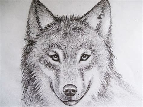 Markcrilleytutorial Wolf Face Drawing Cool Wolf Drawings Wolf Drawing