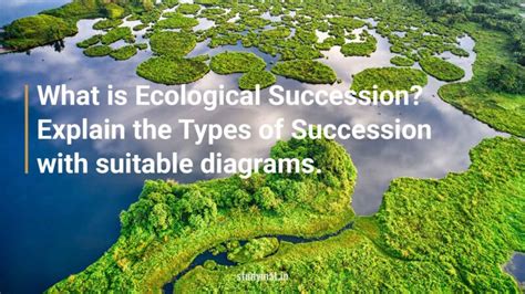 What Is Ecological Succession Explain The Types Of Succession With Suitable Diagrams Studymat