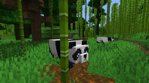 Todo Lo Que Debes Saber Sobre Los Pandas En Minecraft