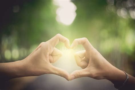 Heart Shape Hands Stock Photo Image Of Love Women 128764270