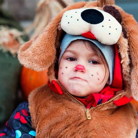 5 Best Dog Halloween Costumes For Kids House That Barks