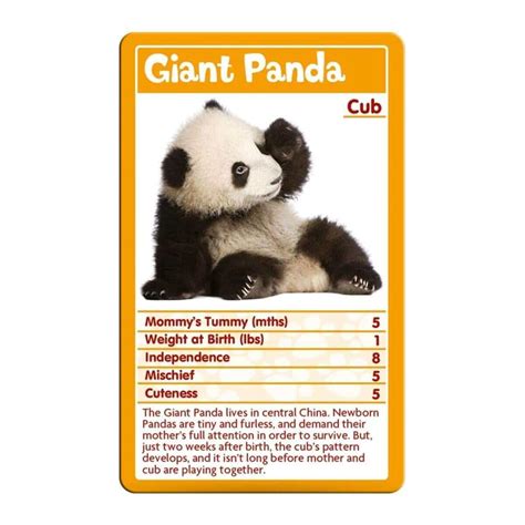 Baby Animals Top Trumps Card Game Winning Moves Uk