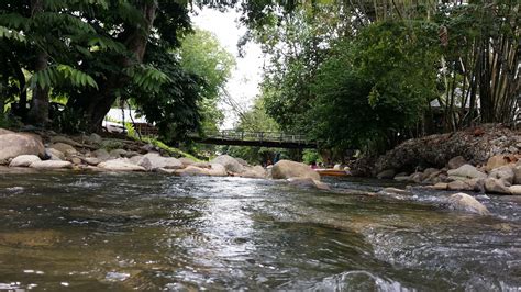 Chu mon's homestay offer comfortable and quiet place to stay. Three?.... Just Nice...!: Panjang Homestay Janda Baik Pahang