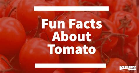 Interra International Did You Know Tomato Facts