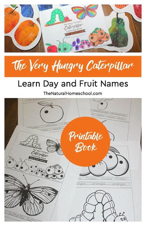 The very hungry caterpillar is one of those books we've revisited time and time again with each of my three children; The Very Hungry Caterpillar Craft ~ Day and Fruit Names Printable Book | Hungry caterpillar ...