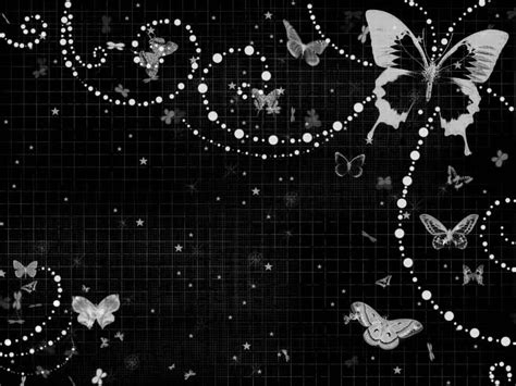 Black And Purple Butterfly Wallpapers Top Free Black And Purple