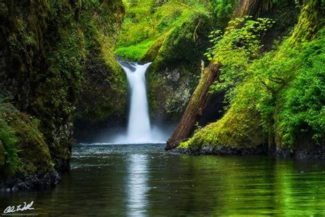 Spring Plunge Punch Bowl Falls Oregon Wall Art Waterfalls