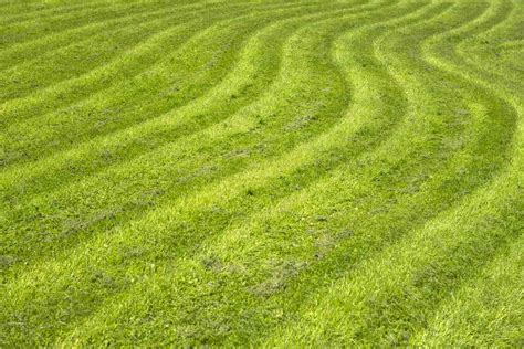 7 Common Lawn Mowing Patterns And When To Use Them