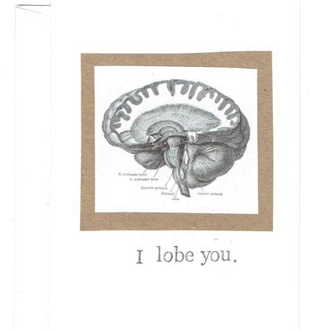 I Lobe You Card Funny Valentine Brain Anatomy Science Pun Etsy Canada