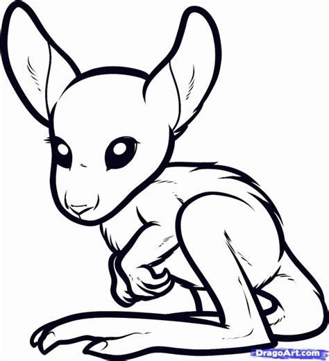 Cute animals coloring pages chromadolls com. Kangaroo Coloring Pages For Kids - Coloring Home