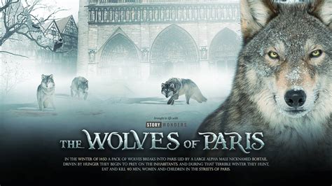Wallpaper The Wolves Of Paris By Mobstera On Deviantart