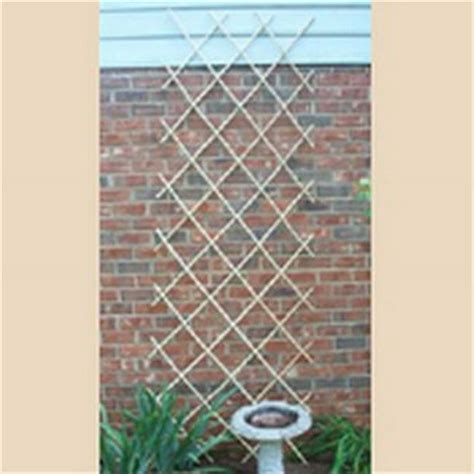 Expanding Bamboo Trellis