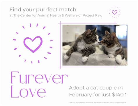 Project Paw - Furever Love at the CAHW and Project Paw...... | Facebook