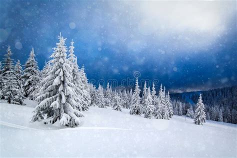 Christmas Winter Landscape Stock Photo Image Of Lights 86097406