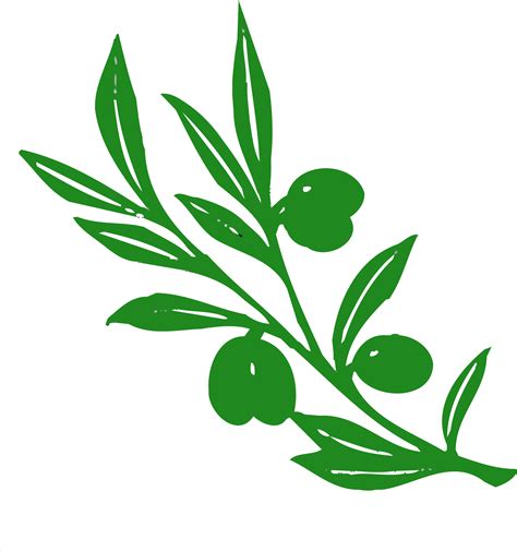 Olive Tree Clipart 20 Free Cliparts Download Images On Clipground 2024