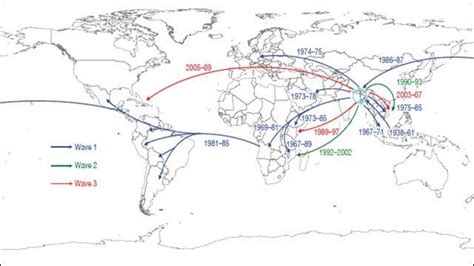 Cholera Pandemic Has A Single Global Source Bbc News