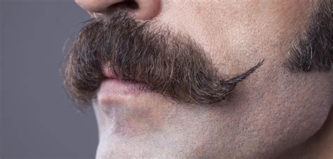 Cómo estimular el crecimiento del bigote Neohair
