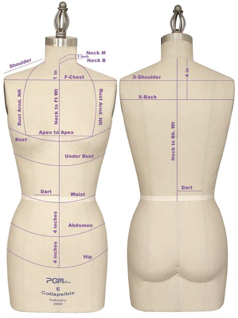 Professional Body Forms Size Tables Mannequin Mart