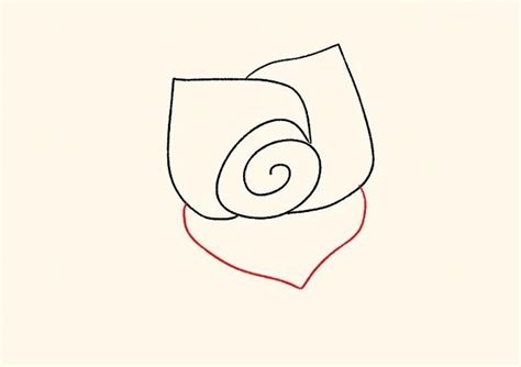 Xem Ngay Cách Vẽ Hoa Hồng đơn Giản Hoa Hồng 3d Cách điệu Bằng Hình