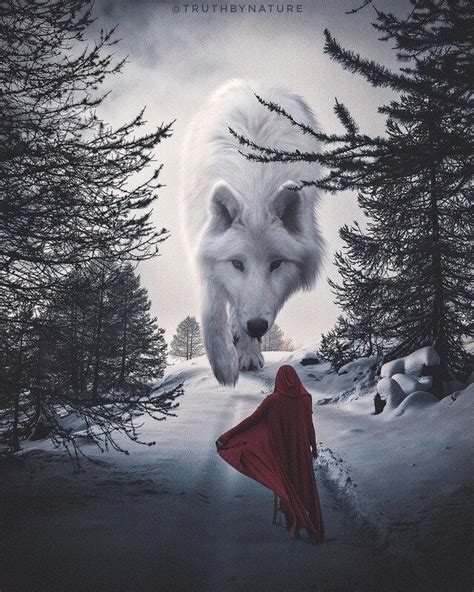A White Wolf Standing In The Snow Next To A Red Cloak