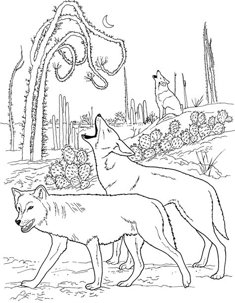 Printable Wolf Coloring Pages Printable Word Searches