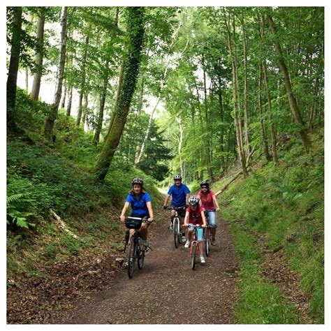 Cycling In The Forest Of Dean And Wye Valley Tudor Farmhouse Hotel