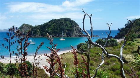 Bay Of Islands The Best Things To See And Do 👀 👍