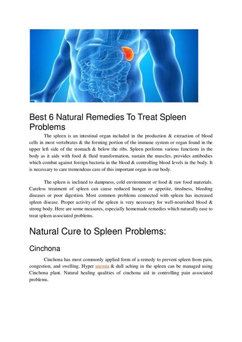 Best 6 Natural Remedies To Treat Spleen Problems