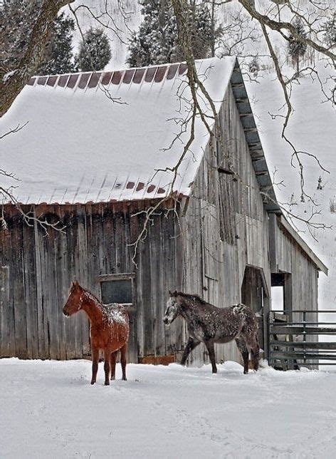 Barn With Horses In Barn Yard By Myohodane Barn Pictures Old Barns