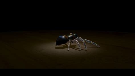 Spider Walk Cycle Animation Youtube