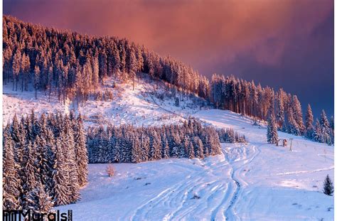 Winter Scene Colorful Sunset Over Snow Covered Trees Idyllic Mountain