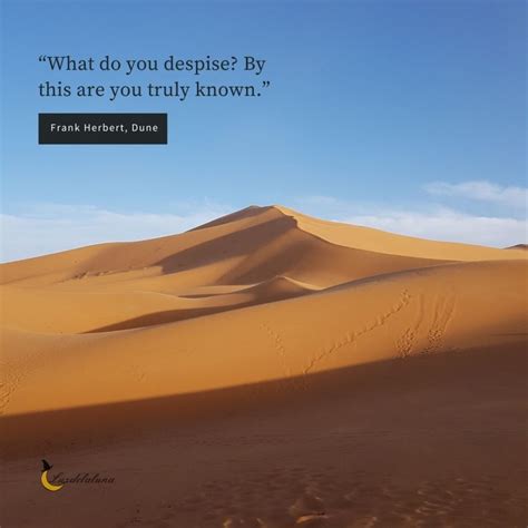 100 Best Dune Quotes To Not Forget Luzdelaluna Quotes